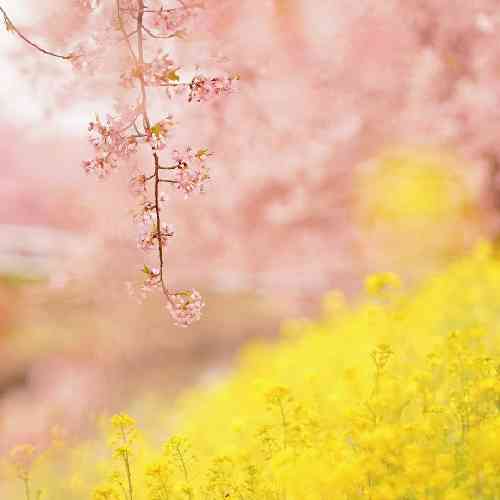  اگه خودم دوباره برگردم نگا نمیکنم چشاتو اصلاً نه